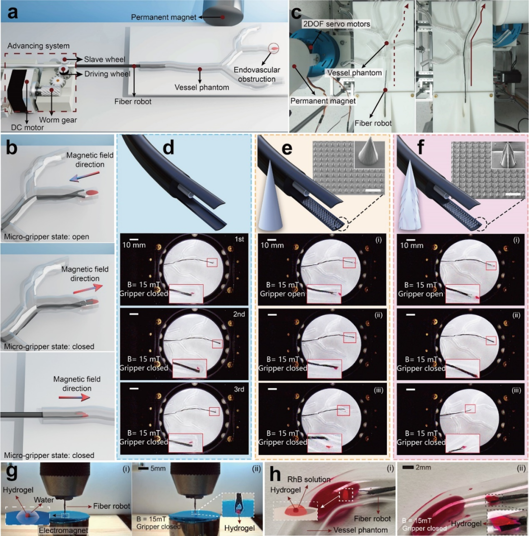上海交大实现具有末端多功能集成的亚毫米级磁性纤维机器人(图4)